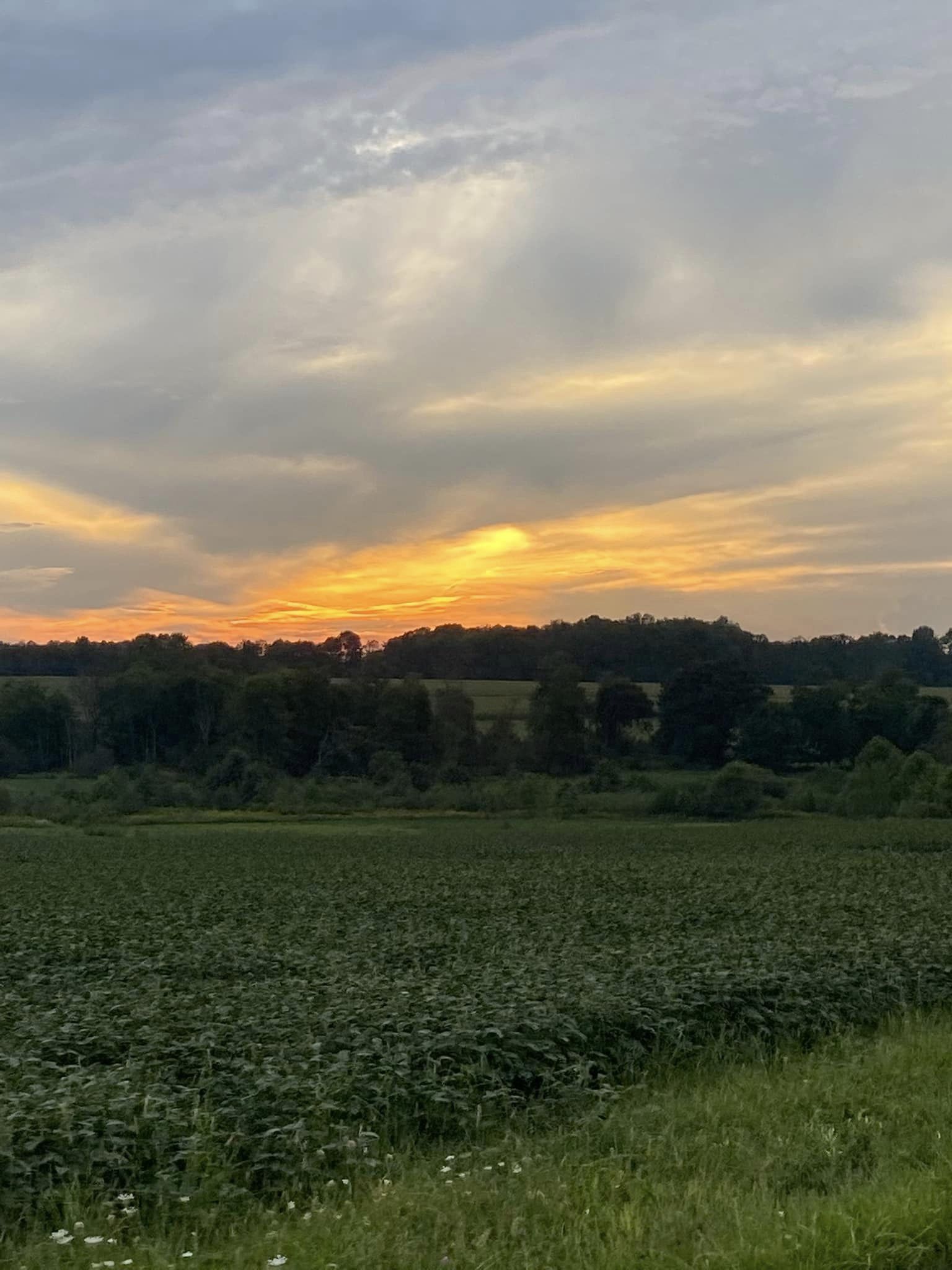 Kennerdell Pipeline & River Loop Top Horse Trails