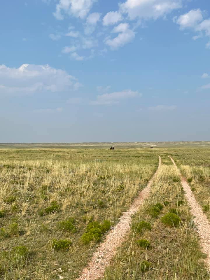 Pronghorn to Canyon to Cheyenne Loop Top Horse Trails
