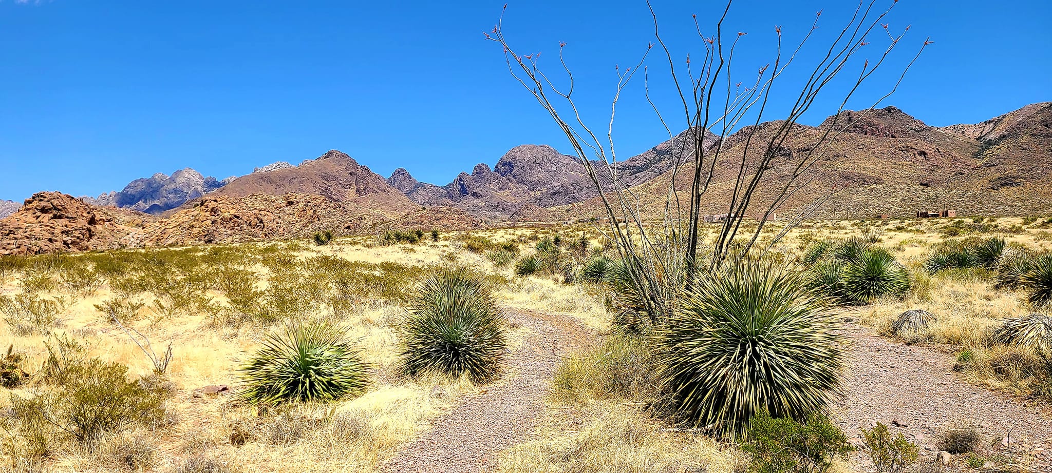 Soledad Canyon Loop Top Horse Trails