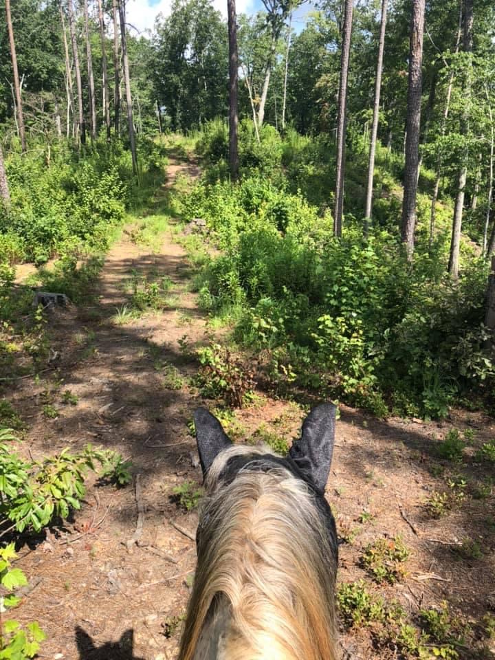 Warden Station Horse Camp in Alabama | Top Horse Trails
