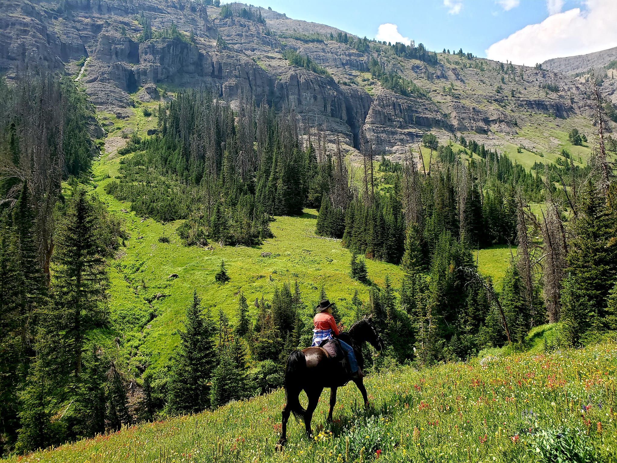 Double Cabin Campground in Wyoming | Top Horse Trails