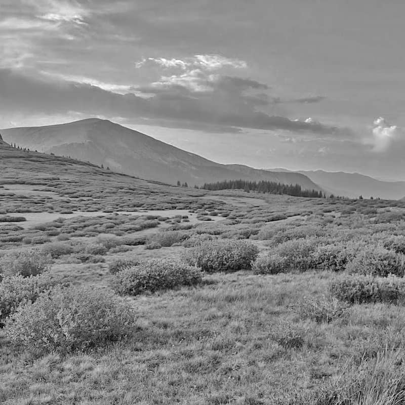 Idaho Panhandle National Forests Top Horse Trails July 2023 Top