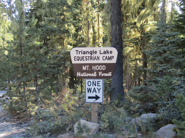 Triangle Lake Horse Camp in Oregon | Top Horse Trails