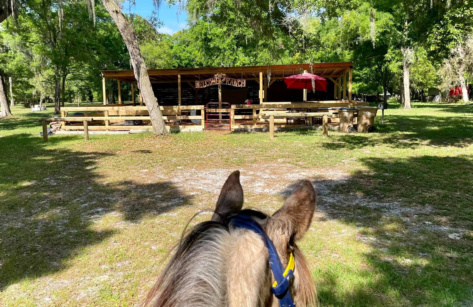 Seminole Wind Ranch in Florida | Top Horse Trails