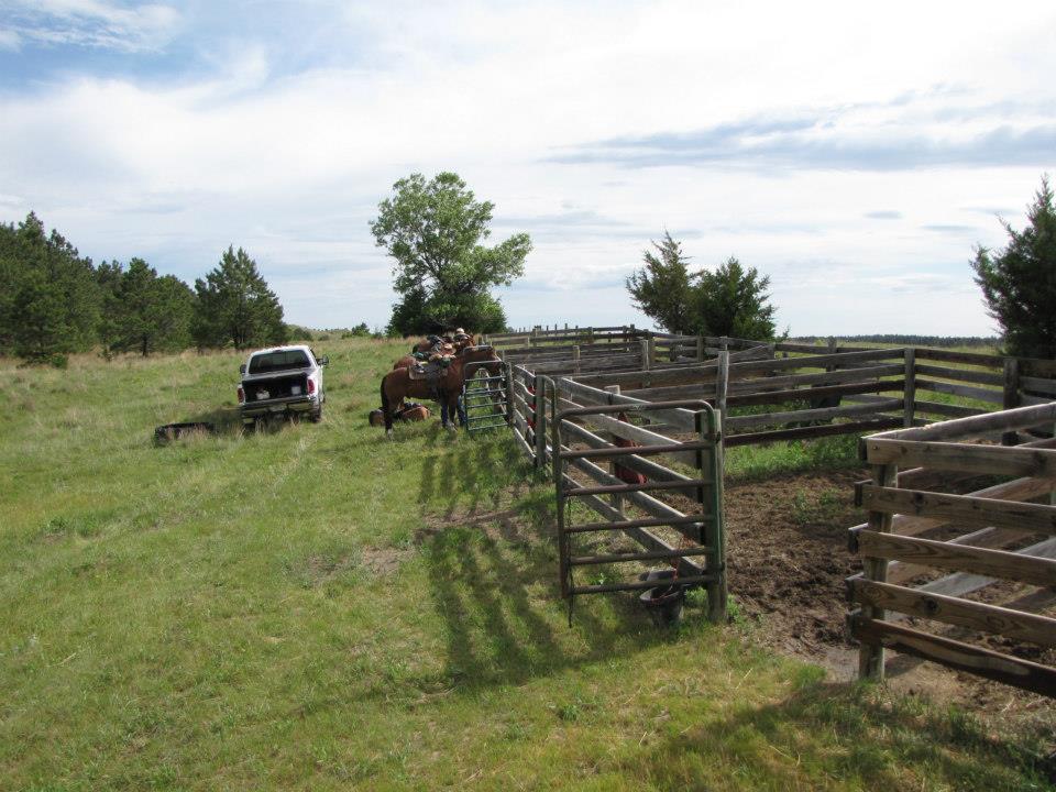 Natick Horse Camp in Nebraska | Top Horse Trails