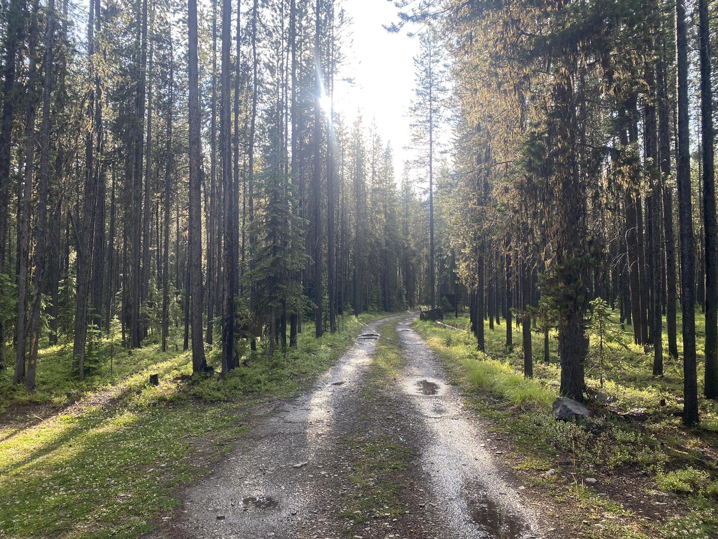 Tuchuck Campground in Montana | Top Horse Trails