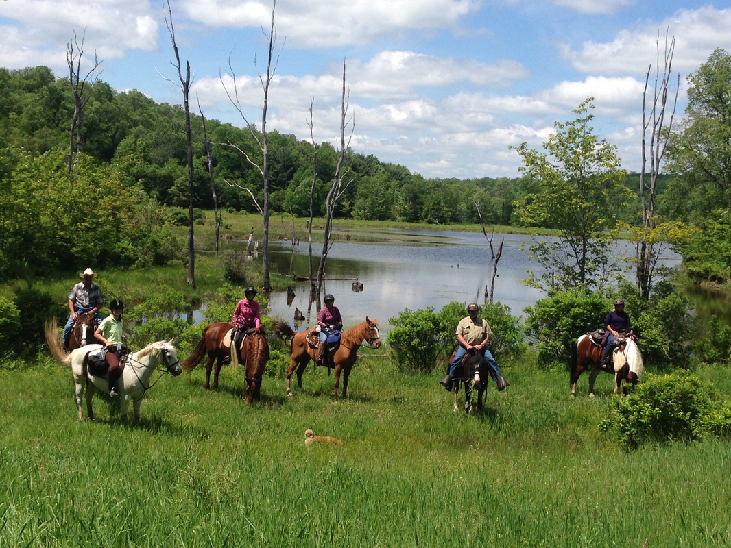 Sharon's Horse Heaven in Pennsylvania | Top Horse Trails