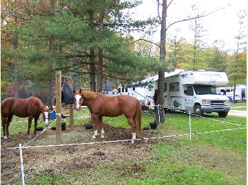 Hickory Ridge Horse Camp in Indiana | Top Horse Trails