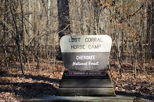 Lost Corral Horse Camp in Tennessee | Top Horse Trails