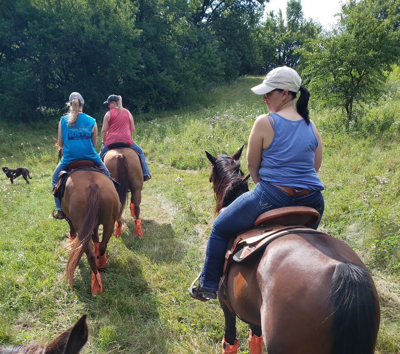 Singing Mesa Ranch Horse Camp in Iowa | Top Horse Trails