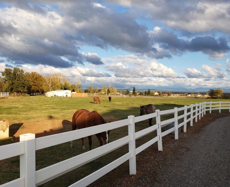 NorCal Riding Stables in California | Top Horse Trails