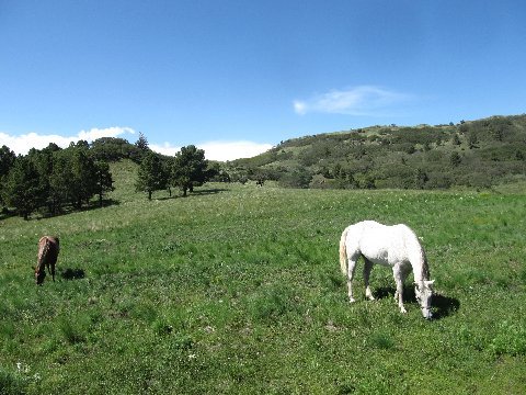 Argentina-Bonito Horse Camp in New Mexico | Top Horse Trails