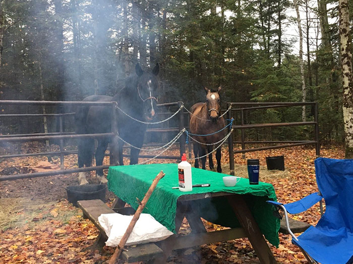 Cedar River Equestrian Trail Camp in Michigan | Top Horse Trails