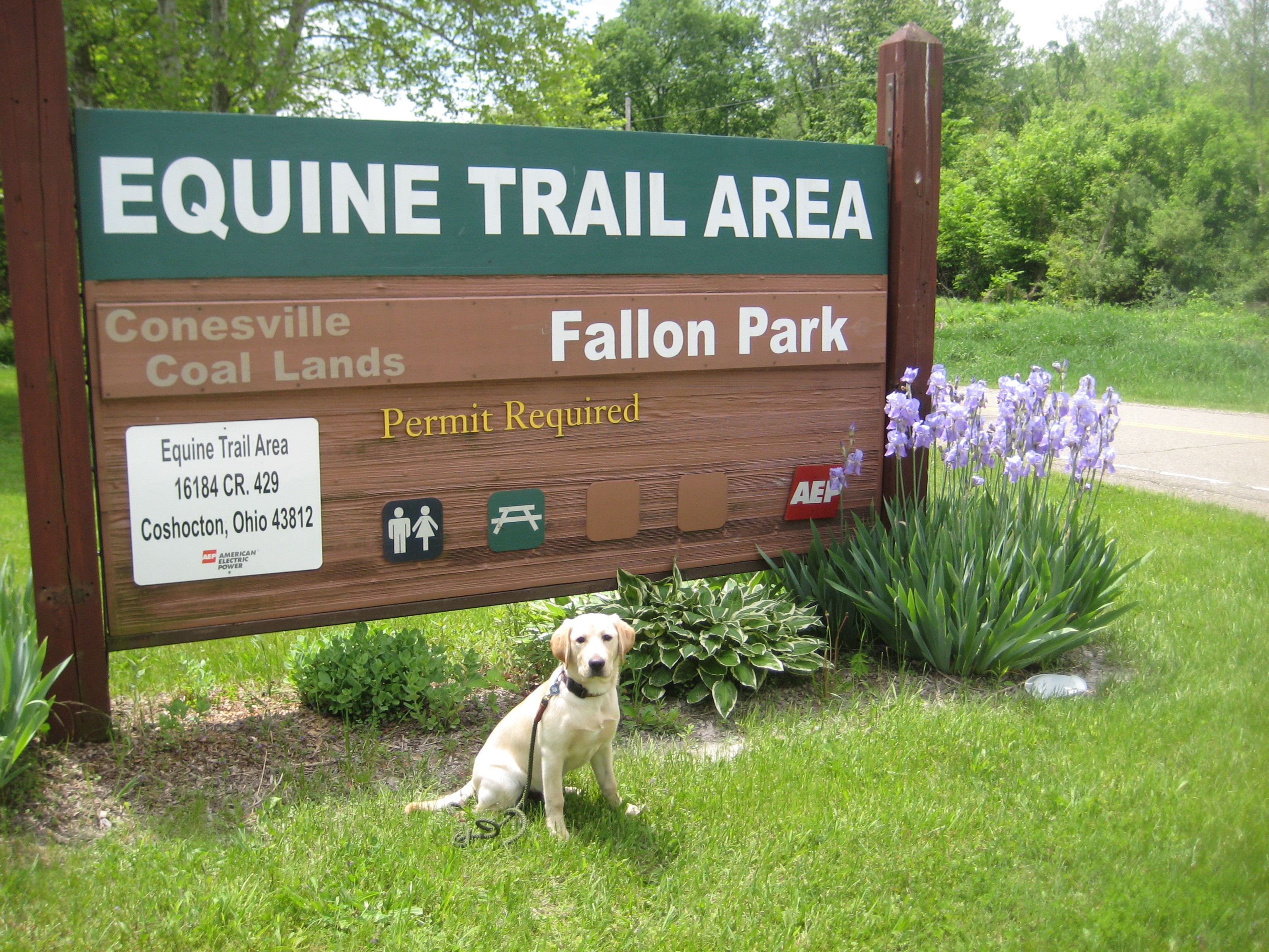 Fallon Equine Area in Franklin Township, Ohio
