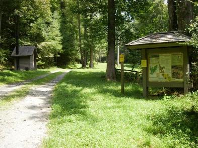 Wash Creek Horse Camp in North Carolina | Top Horse Trails