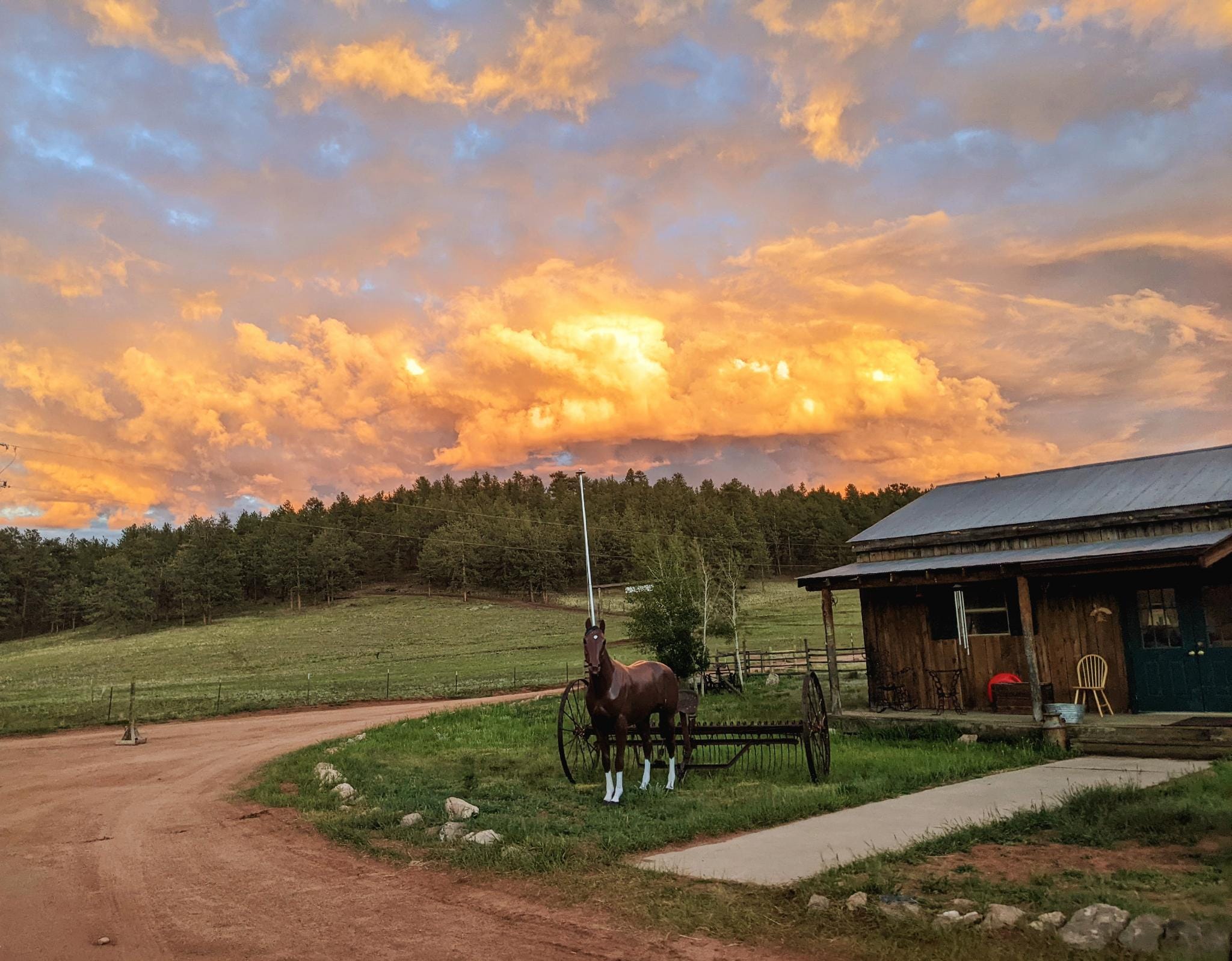 M Lazy C Ranch in Colorado | Top Horse Trails