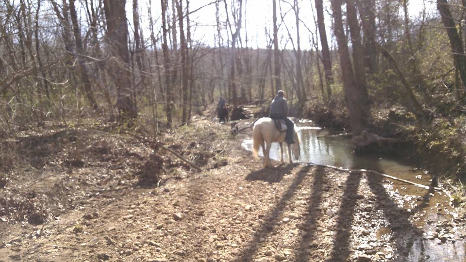 Shirley Creek Horse Camp in Indiana | Top Horse Trails