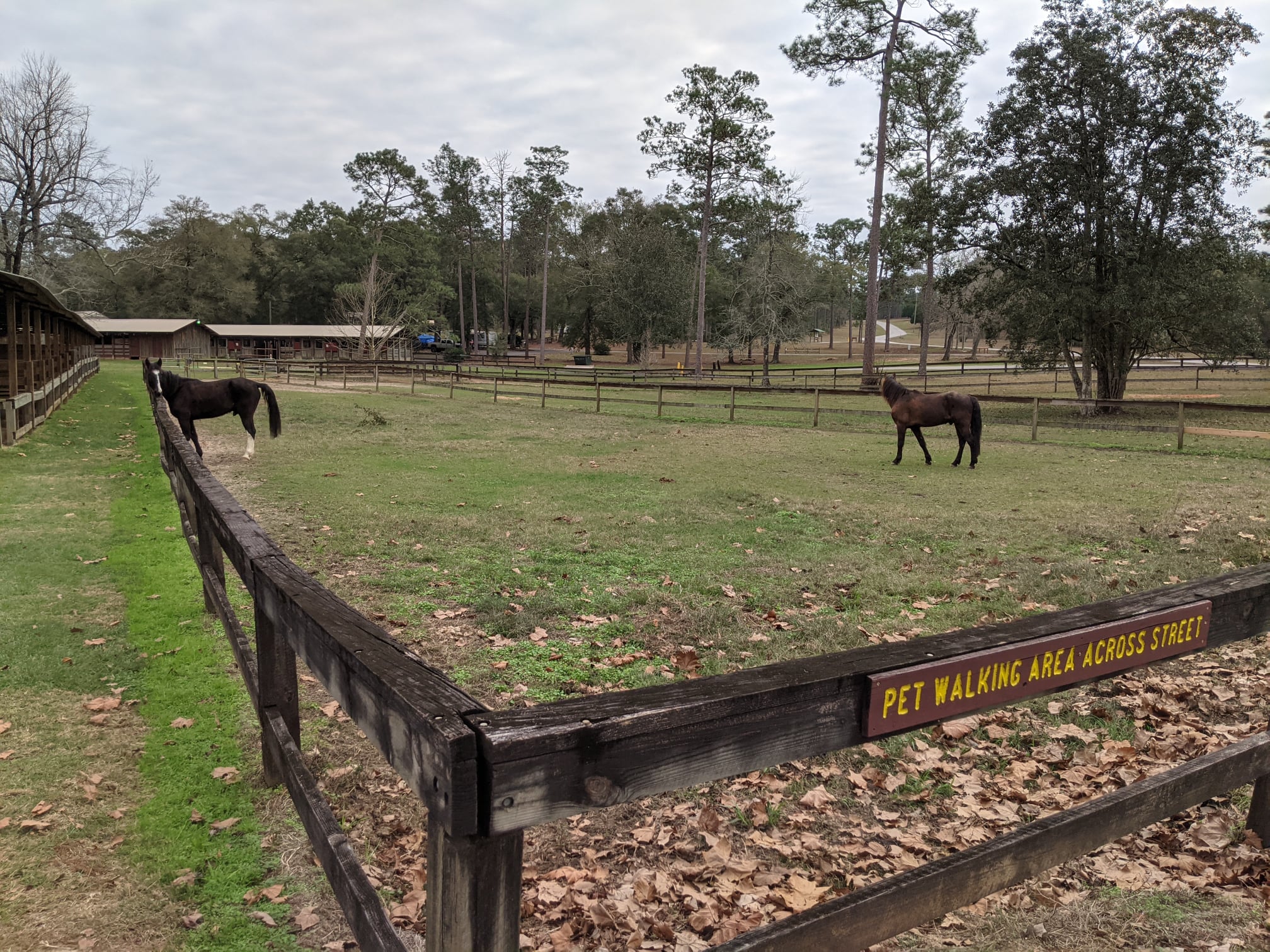 Coldwater Equestrian Campground in Florida | Top Horse TRails