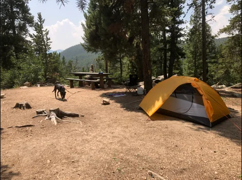 Aspen Meadows Campground in Colordao | Top Horse Trails
