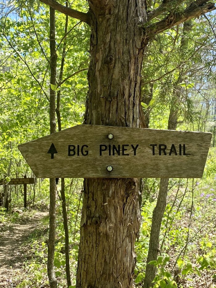 Big Piney Trail Horse Camp in Missouri | Top Horse Trails