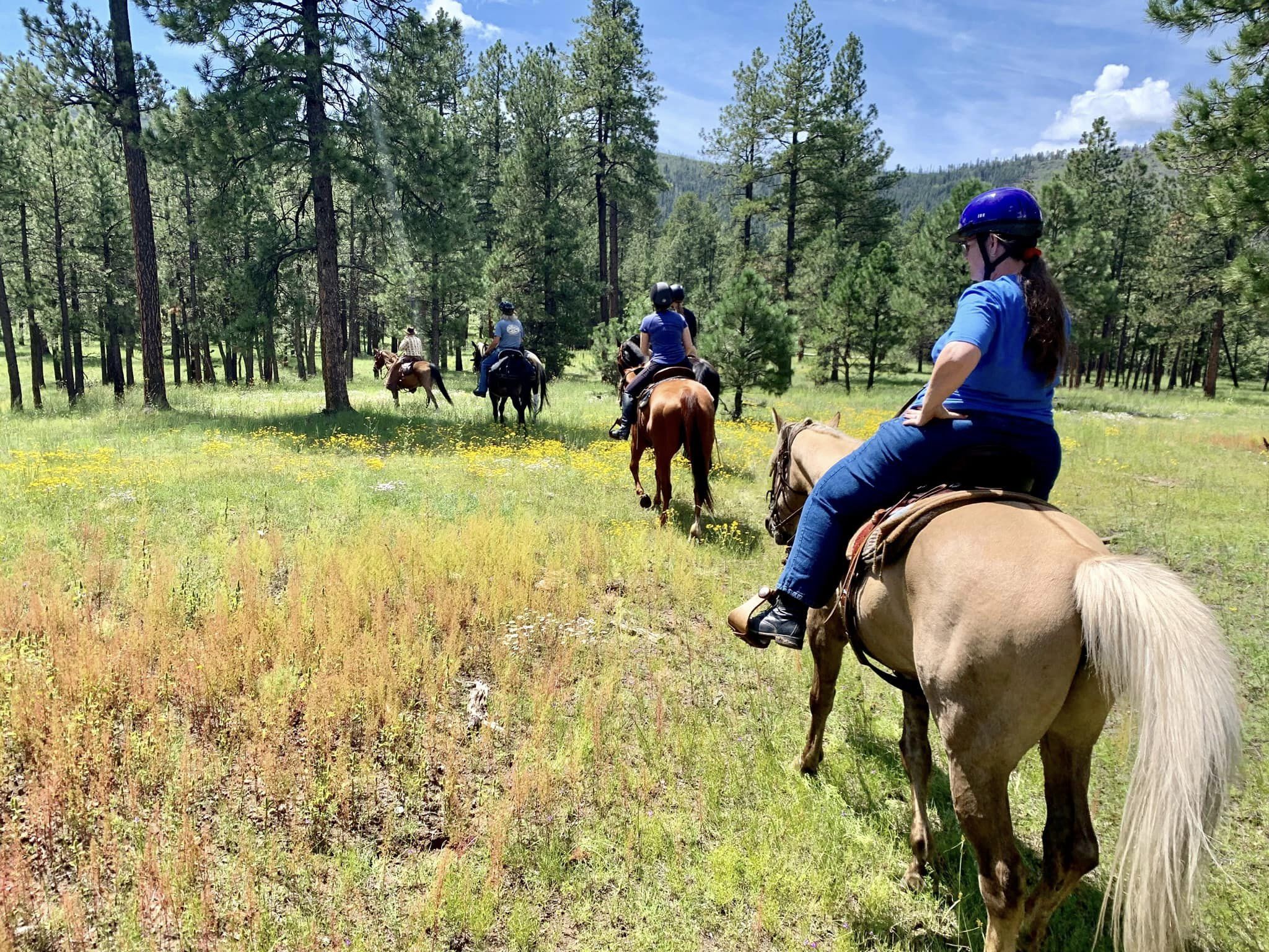 The Aspen Lodge Horse Campsite in Arizona | Top Horse Trails