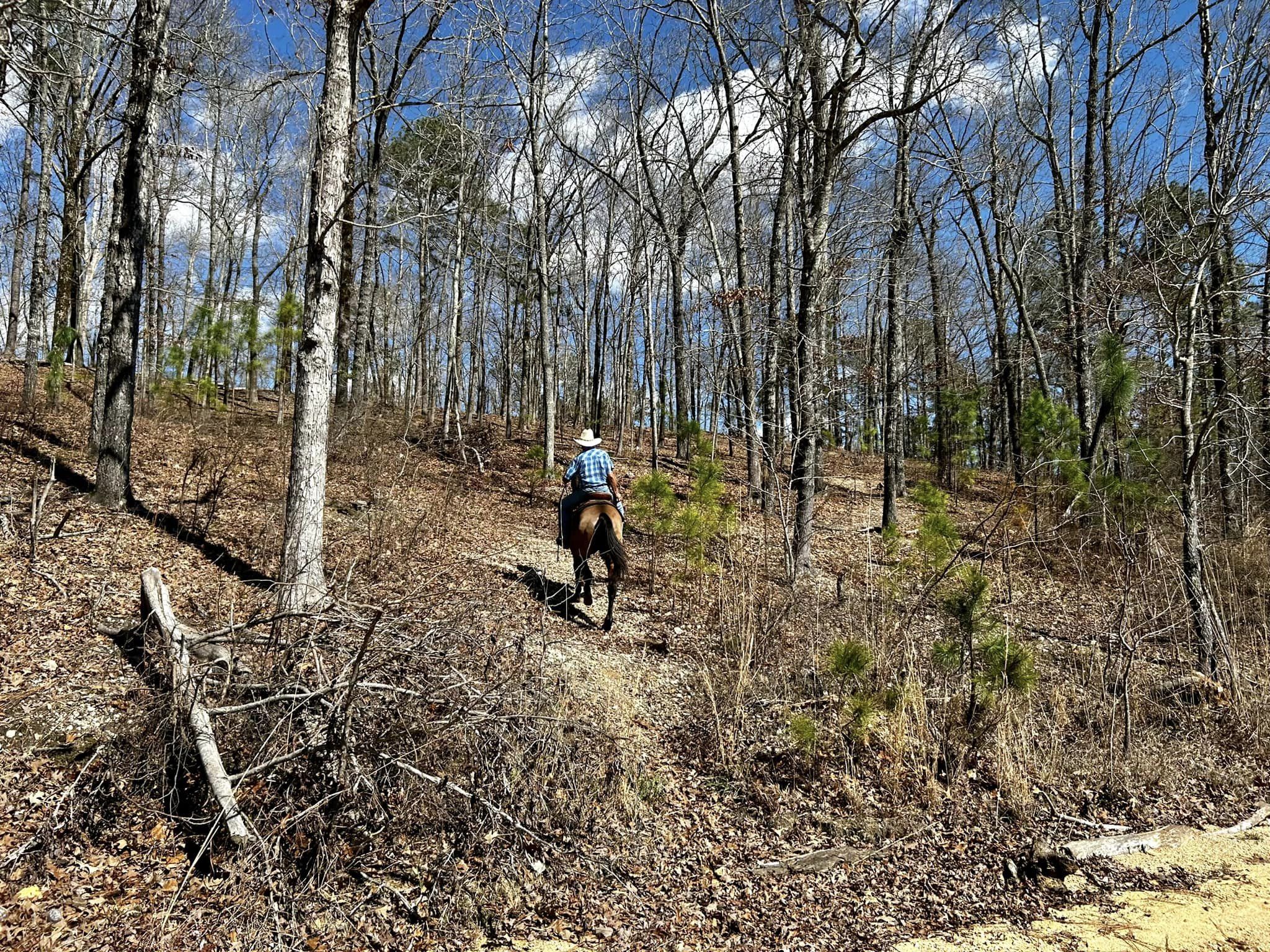 Wind Creek State Park in Alabama | Top Horse Trails