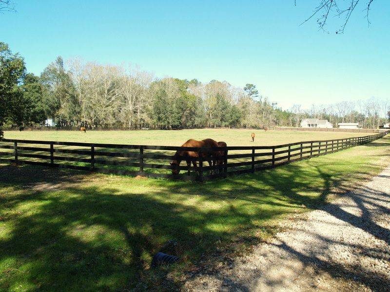 H.E.C.K. Ranch in Florida | Top Horse Trails