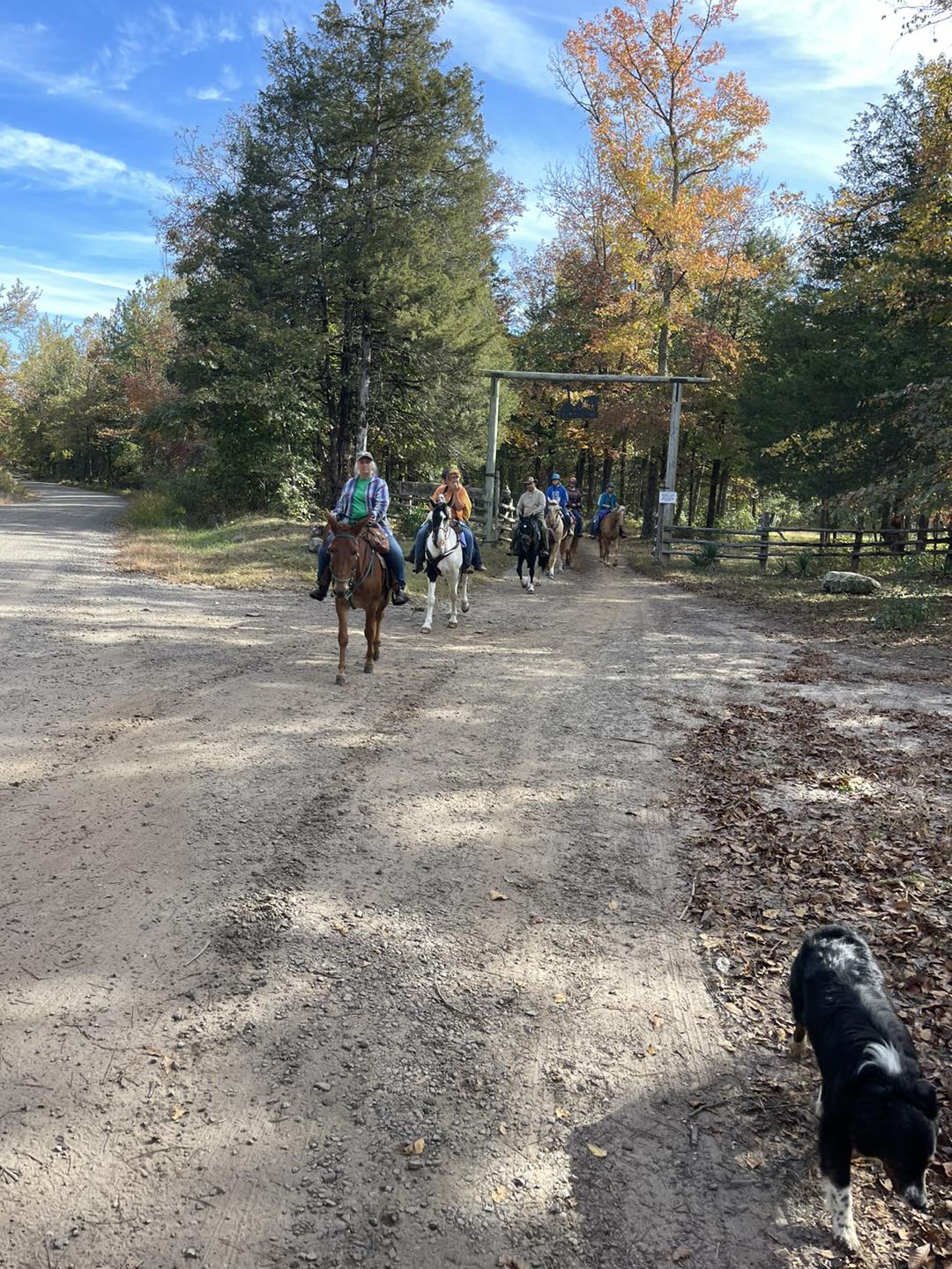 Falling Water Horse Camp in Arkansas | Top Horse Trails