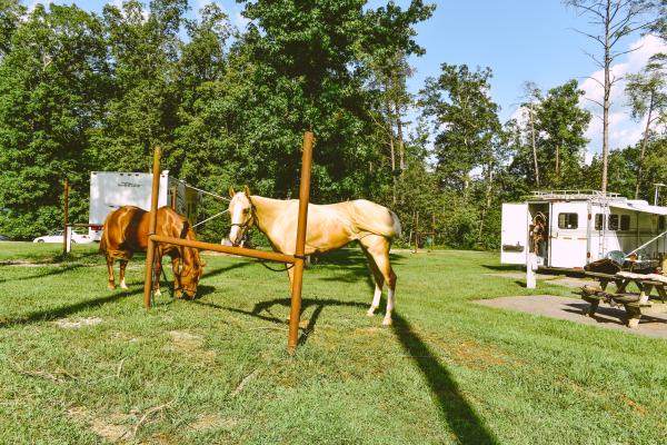 Deam Lake Recreational Area in Indiana | Top Horse Trails