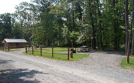 Canebrake Horse Camp in North Carolina