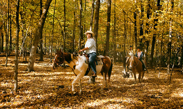 Kankakee Equestrian Campground in Illinois | Top Horse Trails