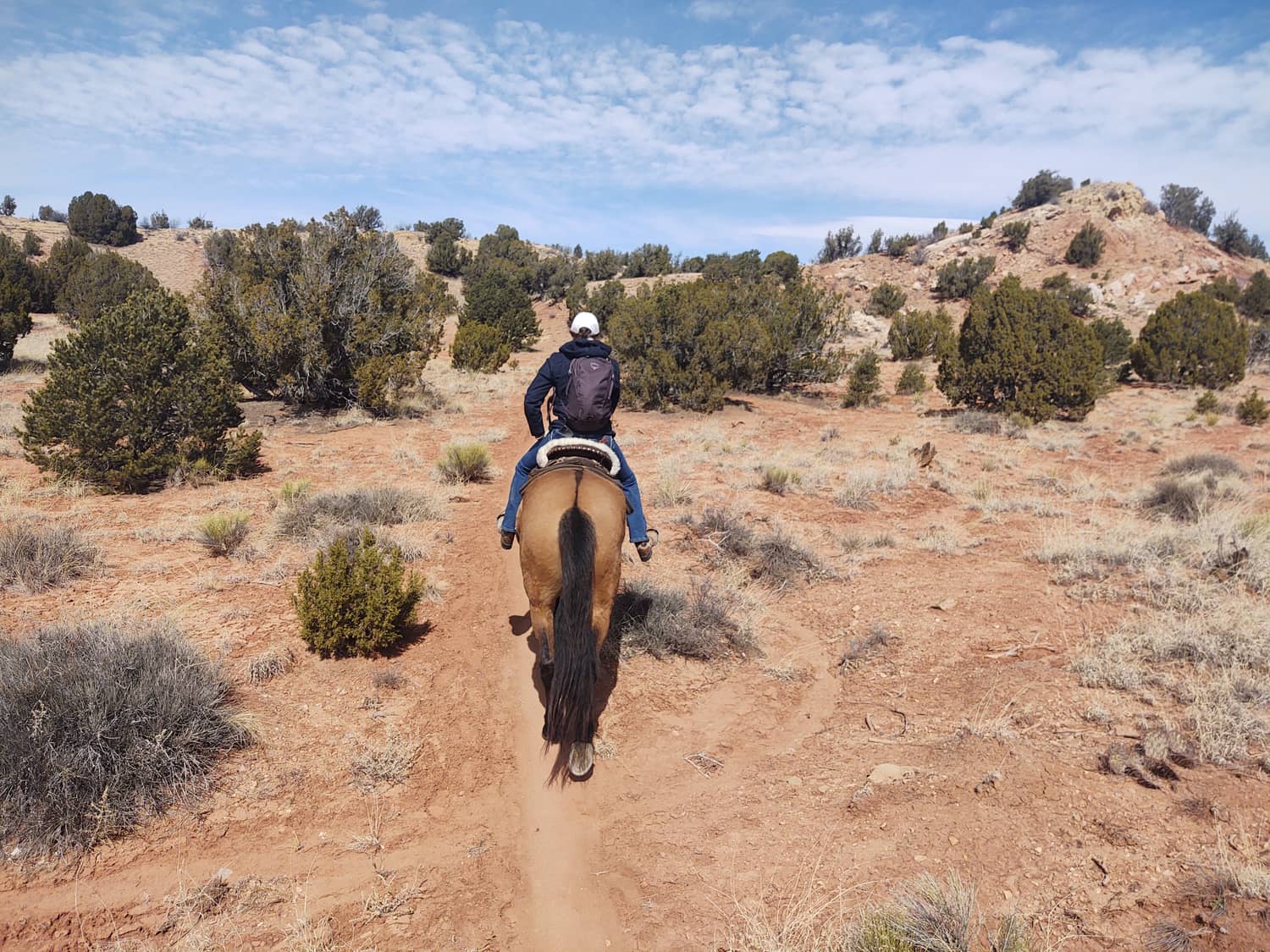 New Mexico Top Horse Camps July 2023 Top Horse Trails