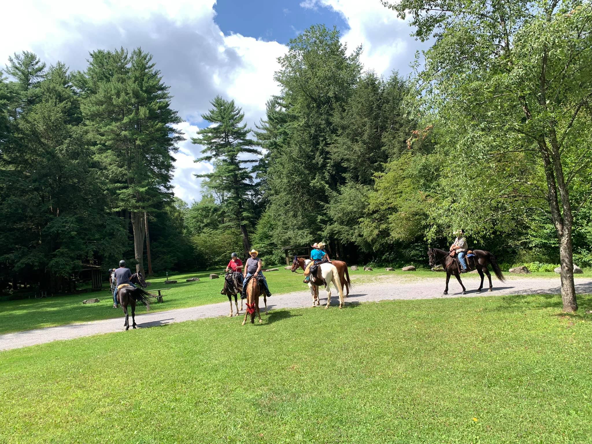 Kelly Pines Campground in Pennsylvania | Top Horse Trails