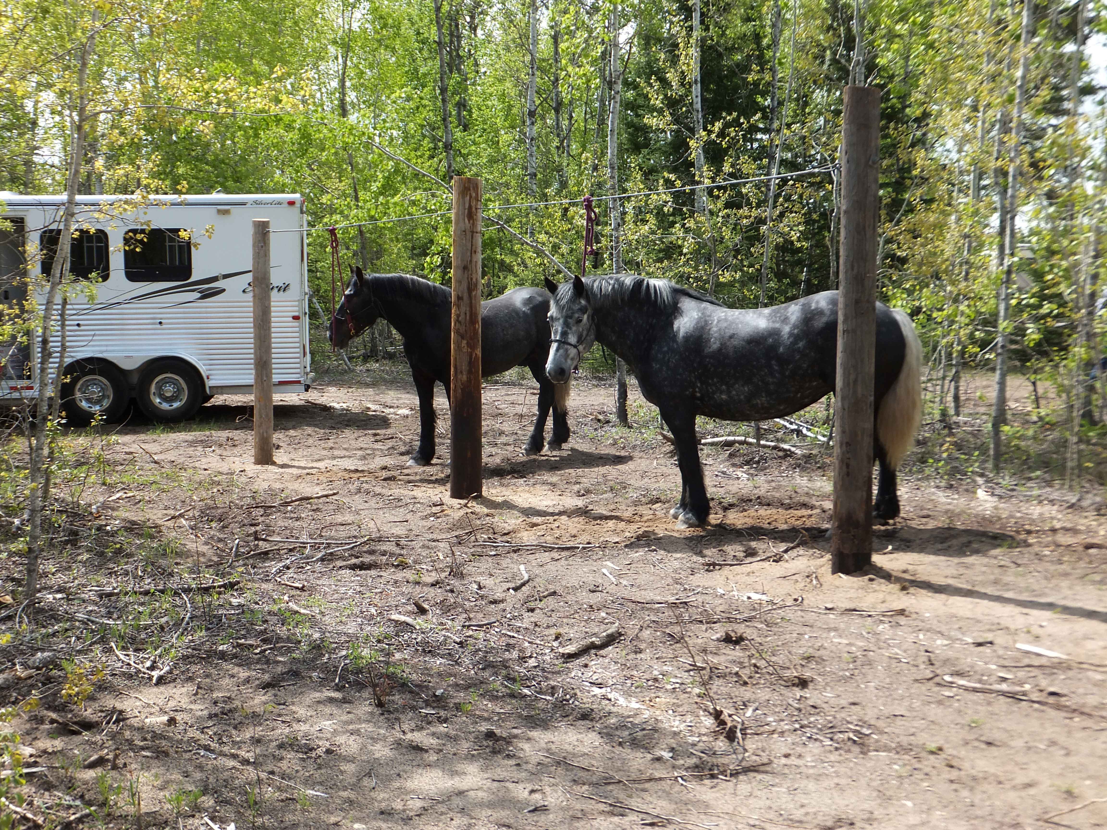 Grant Creek Horse Camp in Minnesota | Top Horse Trails