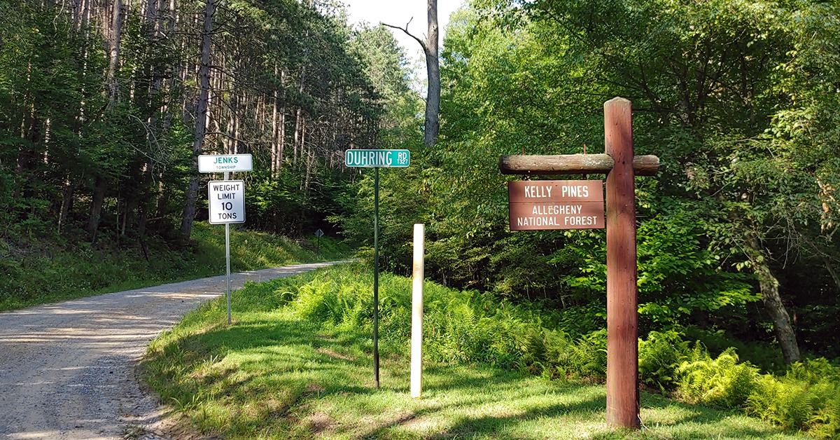 Kelly Pines Campground - Spring Creek Horse Trail in Pennsylvania | Top Horse Trails