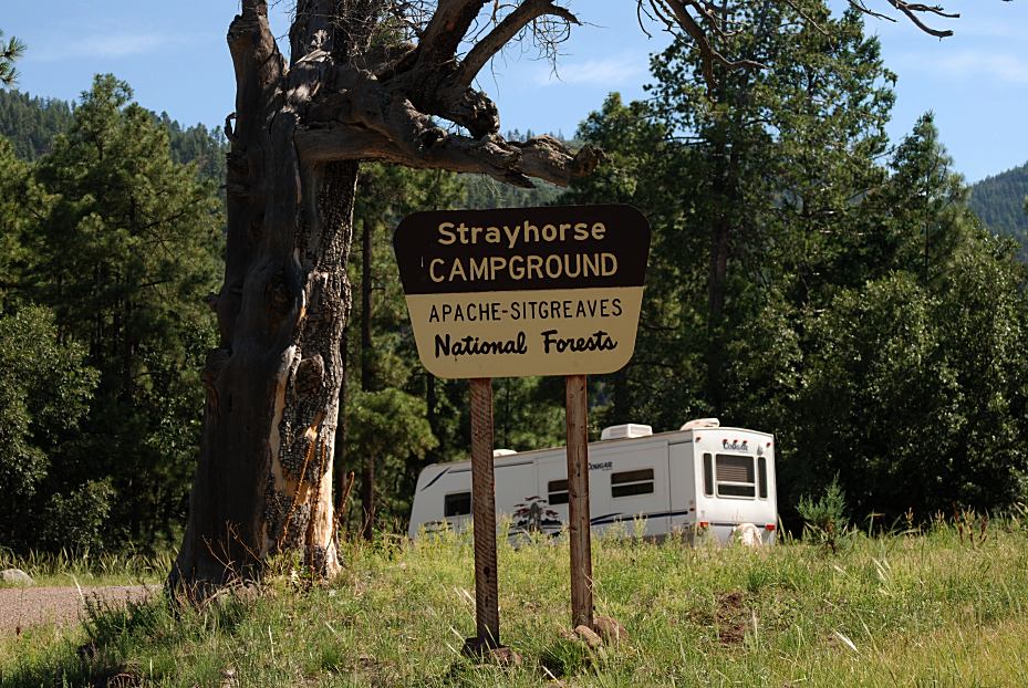 Strayhorse Campground in Arizona | Top Horse Trails