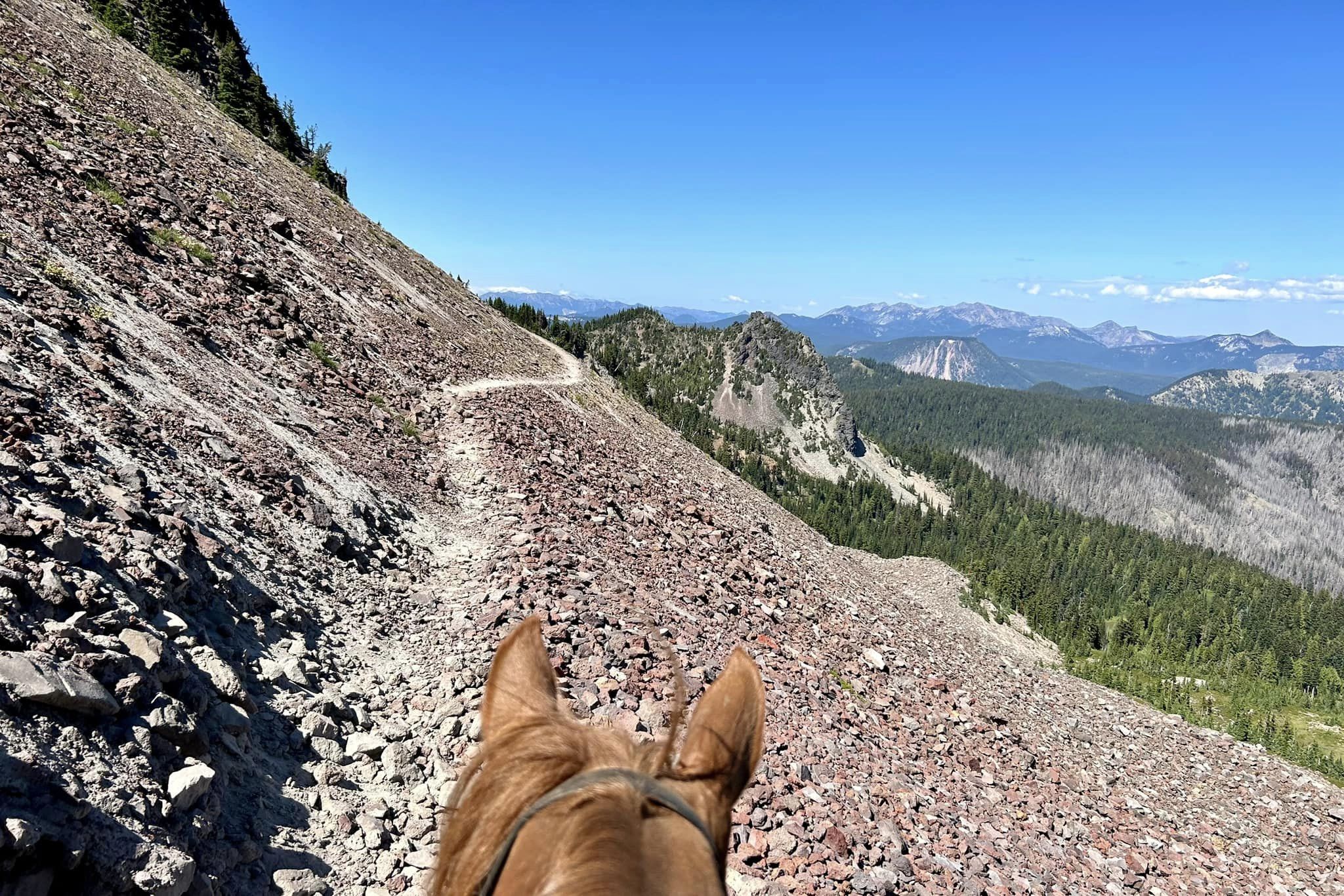 White Pass Horse Camp in Washington | Top Horse Trails